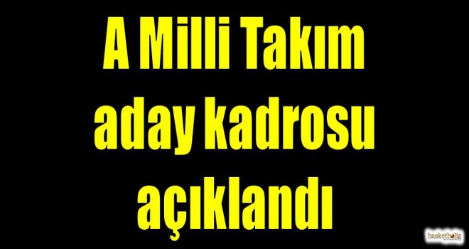 A Milli Takım aday kadrosu açıklandı