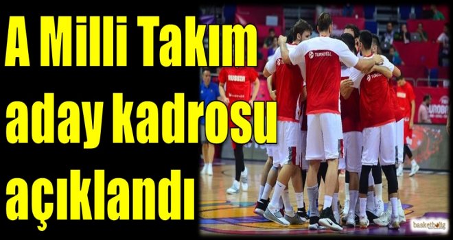 A Milli Takım aday kadrosu açıklandı