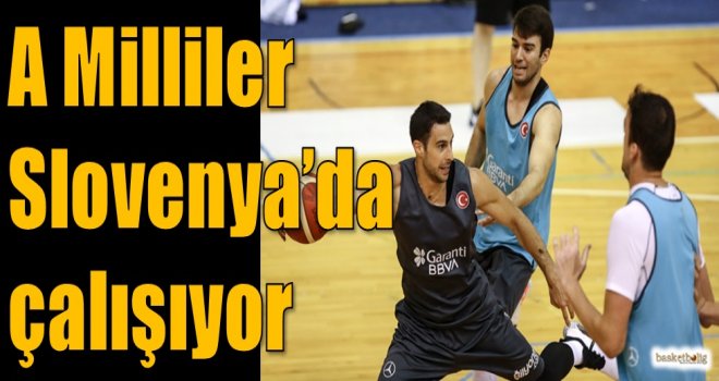 A Milliler Slovenya'da çalışıyor