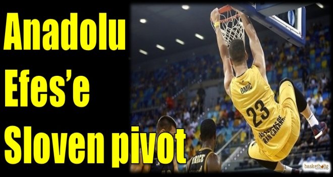 Anadolu Efes'e Sloven pivot