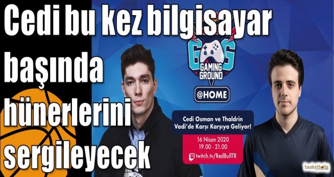 Cedi bu kez bilgisayar başında hünerlerini  sergileyecek