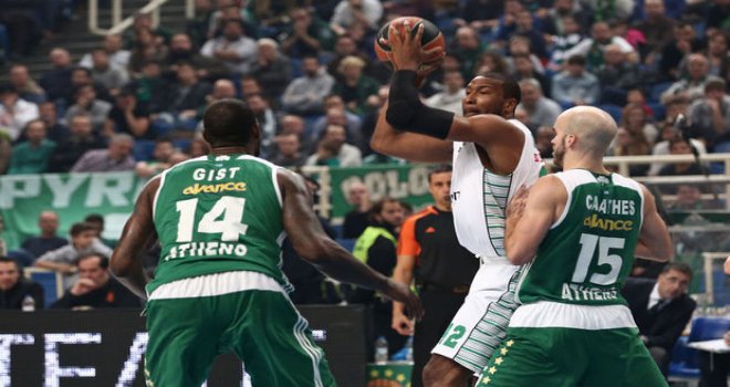 Darüşşafaka Doğuş'un konuğu Panathinaikos
