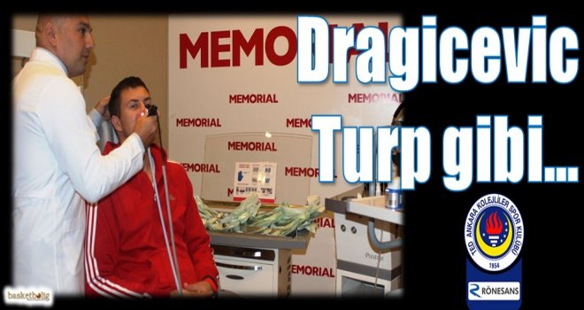 Dragicevic turp gibi