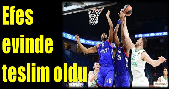 Efes evinde teslim oldu