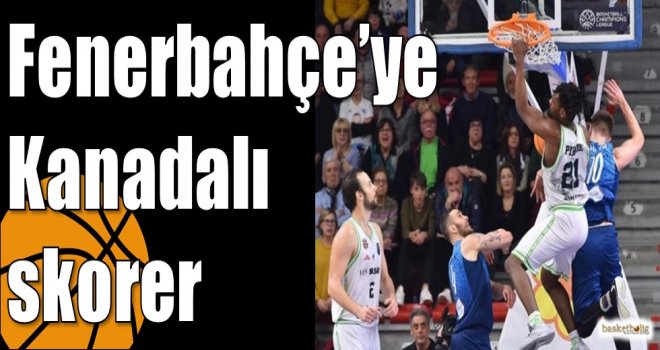 Fenerbahçe?ye Kanadalı skorer