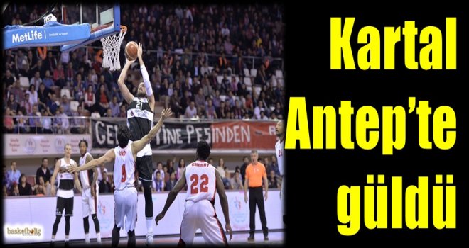 Kartal, Antep'te güldü...