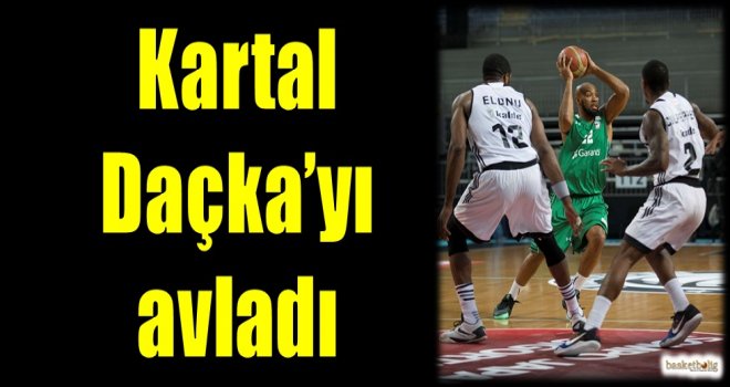 Kartal, Daçka'yı avladı