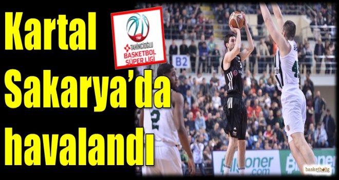 Kartal, Sakarya'da havalandı...