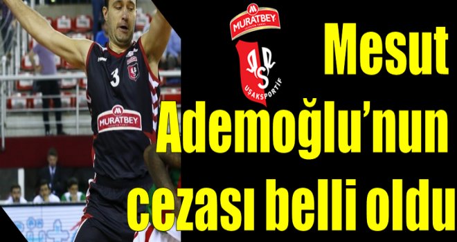 Mesut Ademoğlu'nunu cezası belli oldu