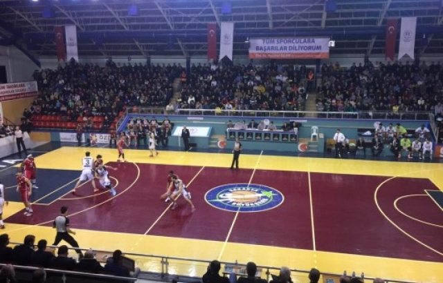 Sakarya, Orkide Gediz'e fark attı