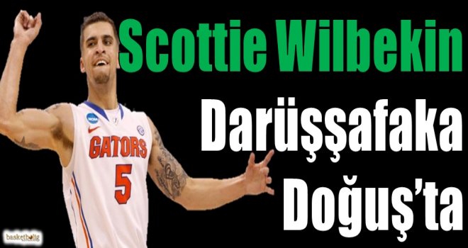 Scottie Wilbekin Daçka'da