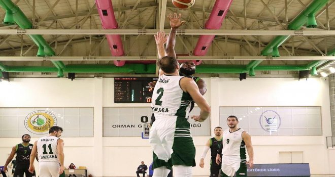 Türkiye Basketbol Ligi 22.hafta sonuçlar ve puan durumu