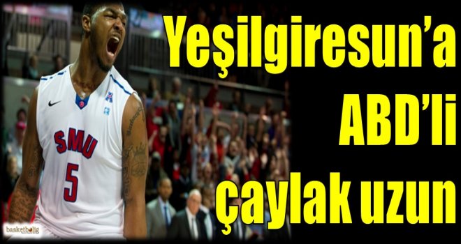 Yeşilgiresun'a ABD'li çaylak uzun